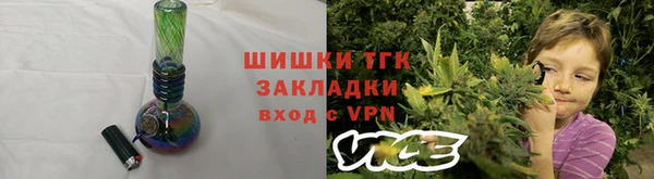 скорость Вяземский
